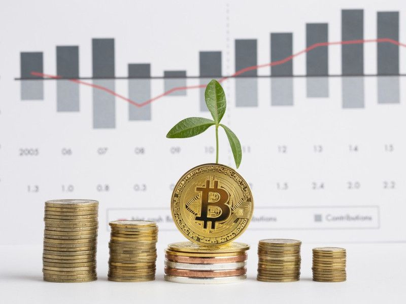Понимание динамики биткоин курсов: Взгляд в мир цифровых финансов