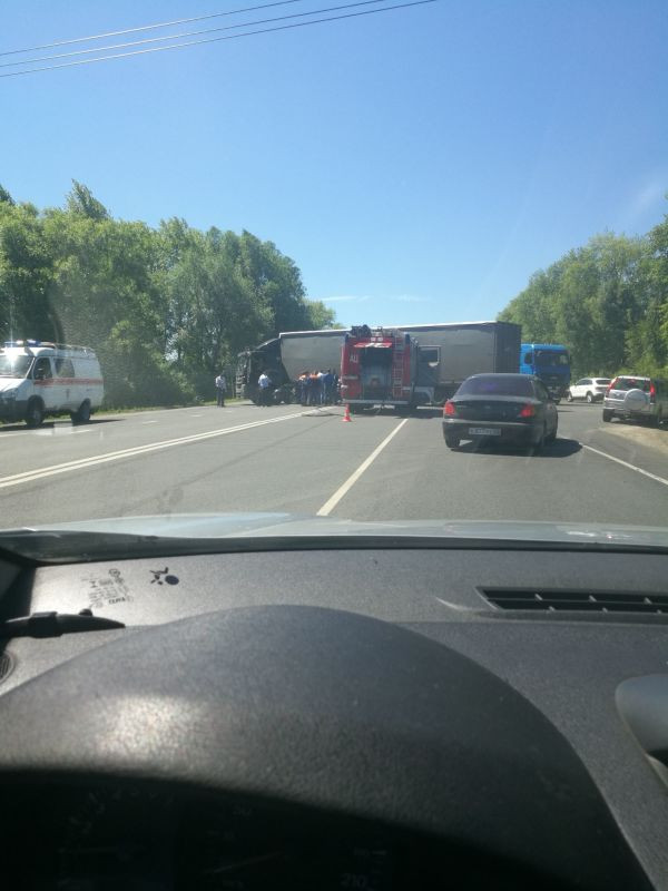 Автобус рязань подвязье на сегодня. Автобус рязань подвязье на сегодня