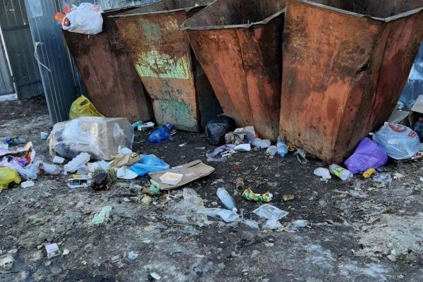 Жители дома на Черновицкой в Рязани пожаловались на антисанитарию