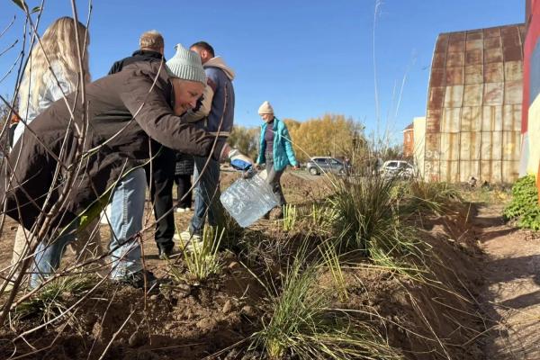 В Рязани на улице Интернациональной высадили 50 декоративных растений