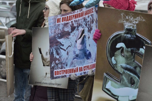 В Рязани провели массовый пикет против дельфинария и готовят жалобы в надзорные органы