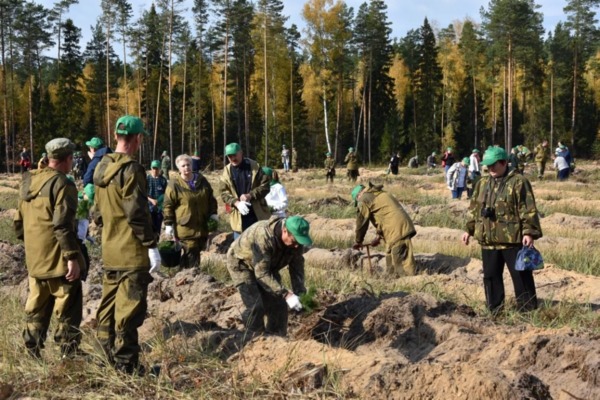 В Рязанской области волонтеры посадили более восьми тысяч деревьев