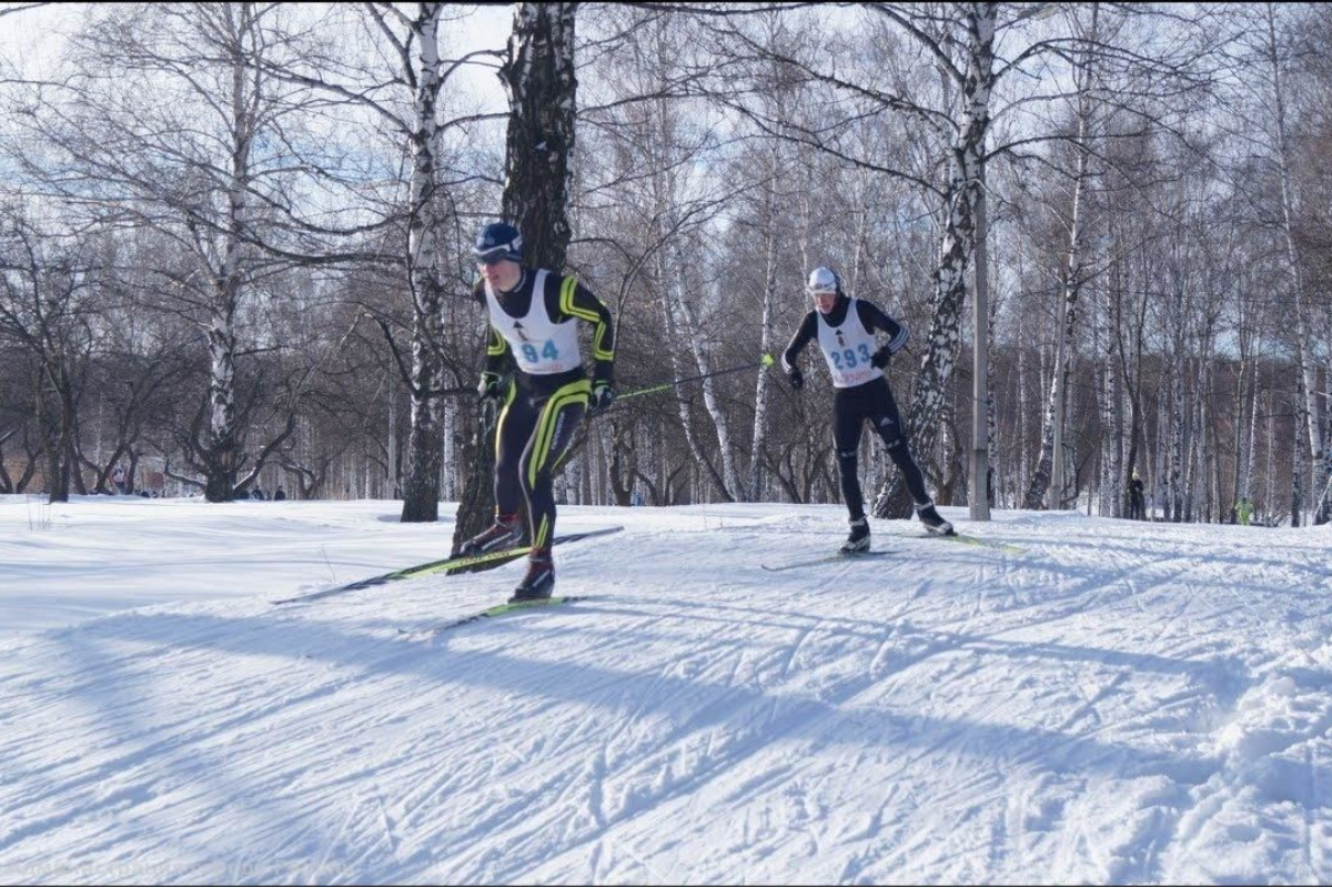 Колтушская лыжня. Лыжная трасса акатово. Хлебниковский лесопарк лыжная трасса. Лыжная трасса шексна. Колтушская лыжня.