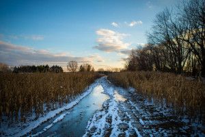 В Рязанской области 24 октября ожидается мокрый снег