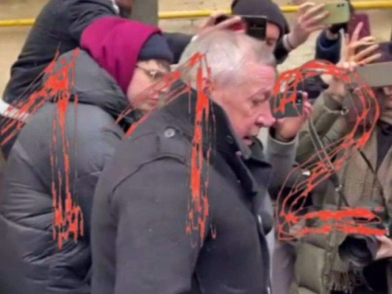 Михаил Ефремов вернулся в Москву