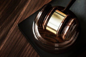 Рязанца осудили за выращивание конопли в саду