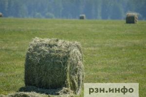 Россиянам рассказали о погоде в конце июля и начале августа