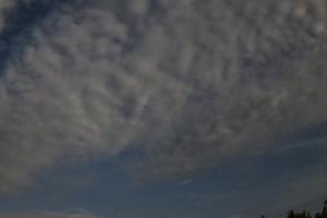 Рязанские астрономы показали метеорный поток Персеиды