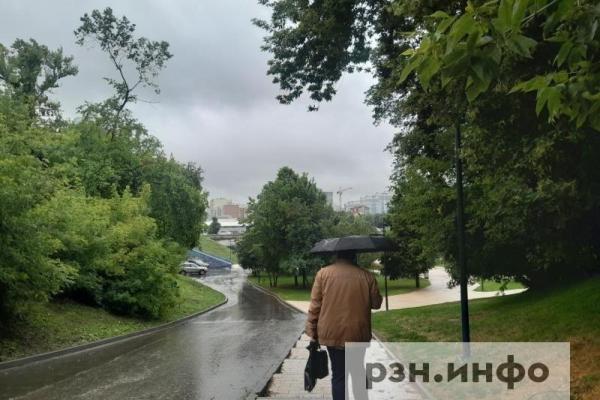 В Рязанской области 12 ноября пройдет дождь