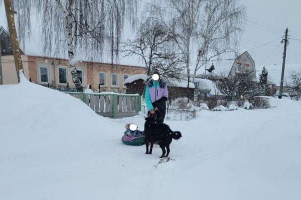Рязанка спасла мать с ребенком от агрессивных собак
