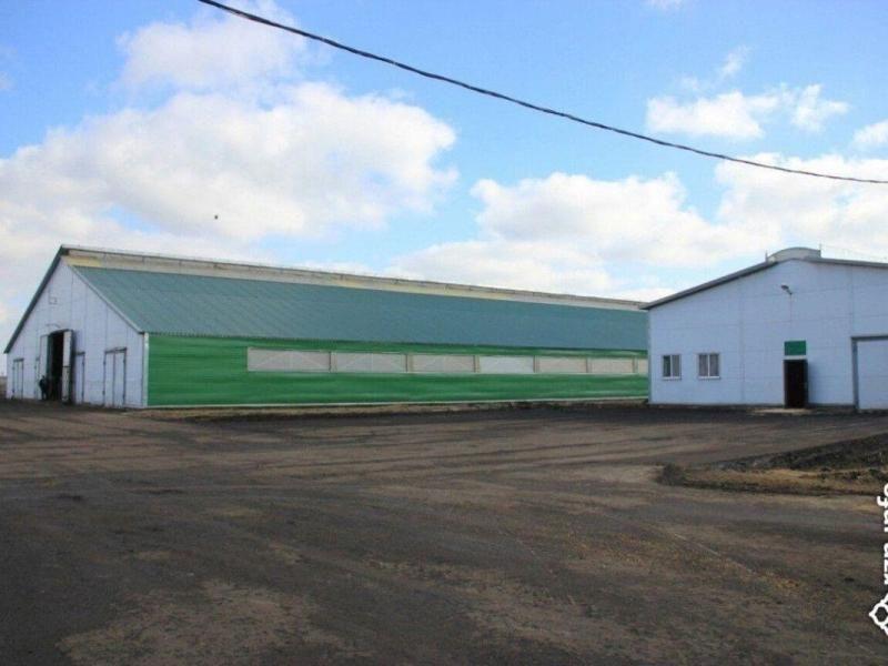 Глава СК вновь взял на контроль возведение свинокомплексов в Рязанской области