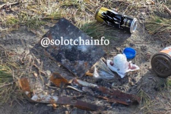 Рязанцы возмутились поведением туристов, устроивших в Солотче помойку