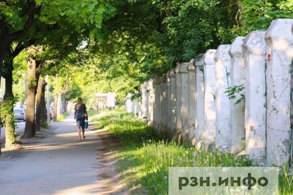Опубликован прогноз погоды на 13 июня в Рязанской области