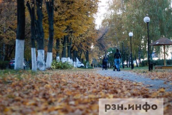 Опубликован прогноз погоды на 13 сентября в Рязанской области
