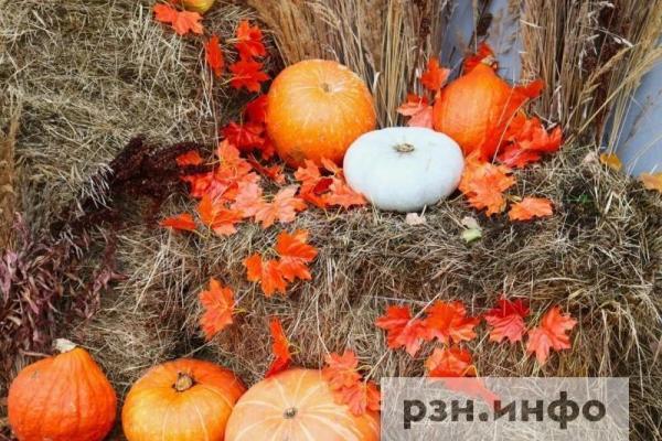 Синоптик рассказал, когда в Рязанской области наступит глубокая осень