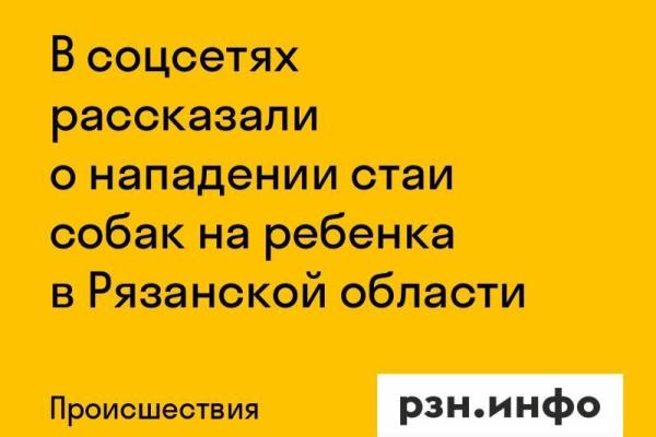 В соцсетях рассказали о нападении стаи собак на ребенка в Рязанской области
