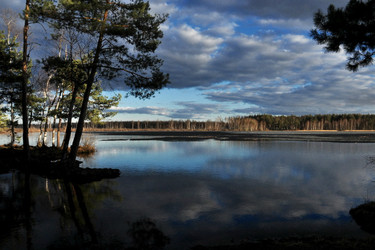 Топ-12 мест в Рязанской области, куда стоит отправиться в праздники