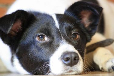 Настино счастье