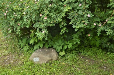 Увесистые сувениры. Как появился «Сад камней» в «Наташином» парке