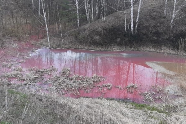 Насколько опасна «малиновая» вода? Ручей на окраине Рязани поменял цвет и приобрел химический запах