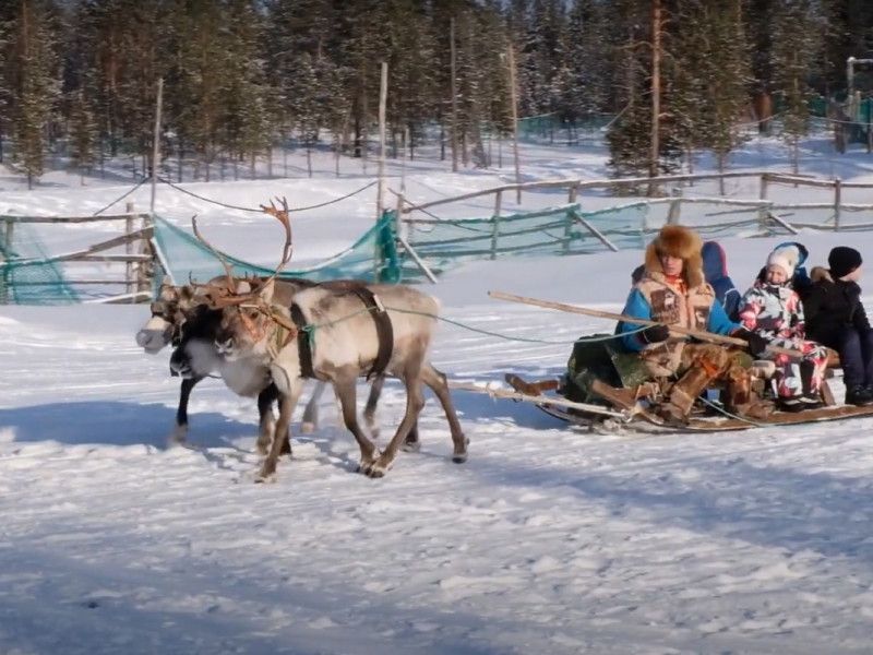 Куда можно выехать из Рязани на праздники без qr-кода и с ним?