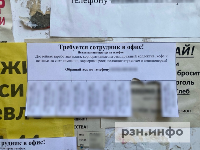 Сетевой лохотрон? Как безработные рязанцы несли работодателю деньги